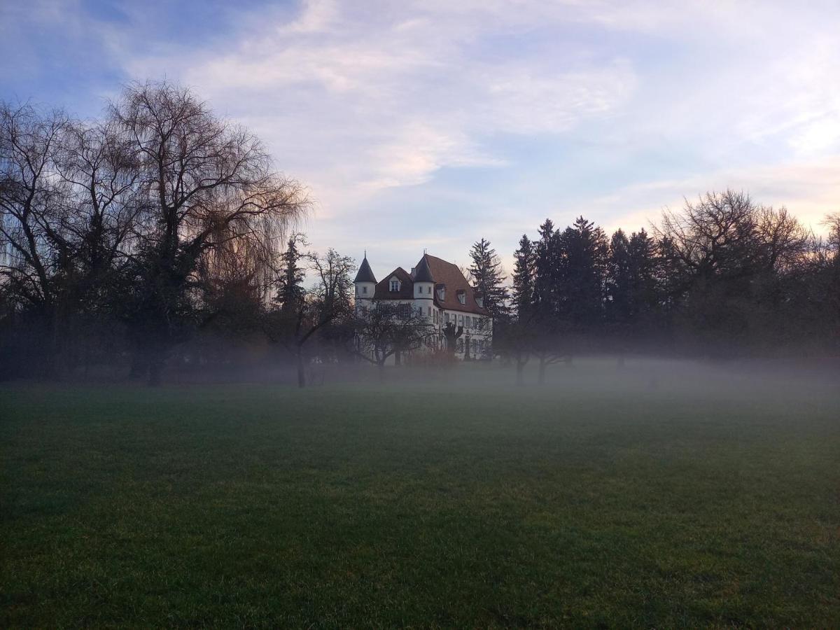 Chateau De Werde Matzenheim Exterior photo