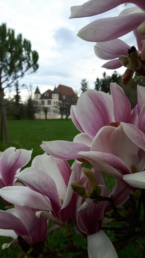 Chateau De Werde Matzenheim Exterior photo