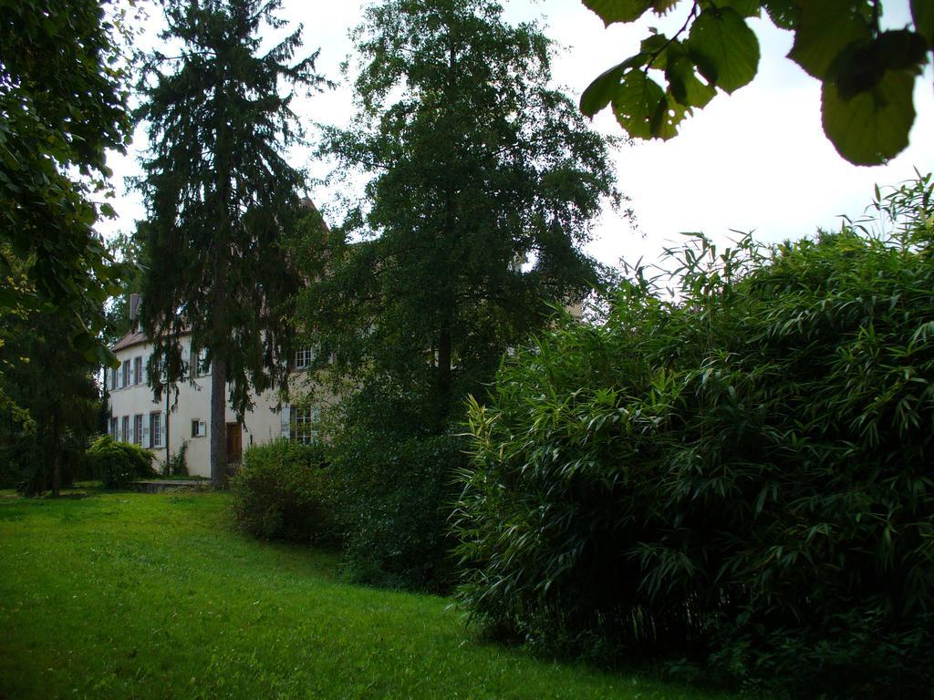 Chateau De Werde Matzenheim Exterior photo