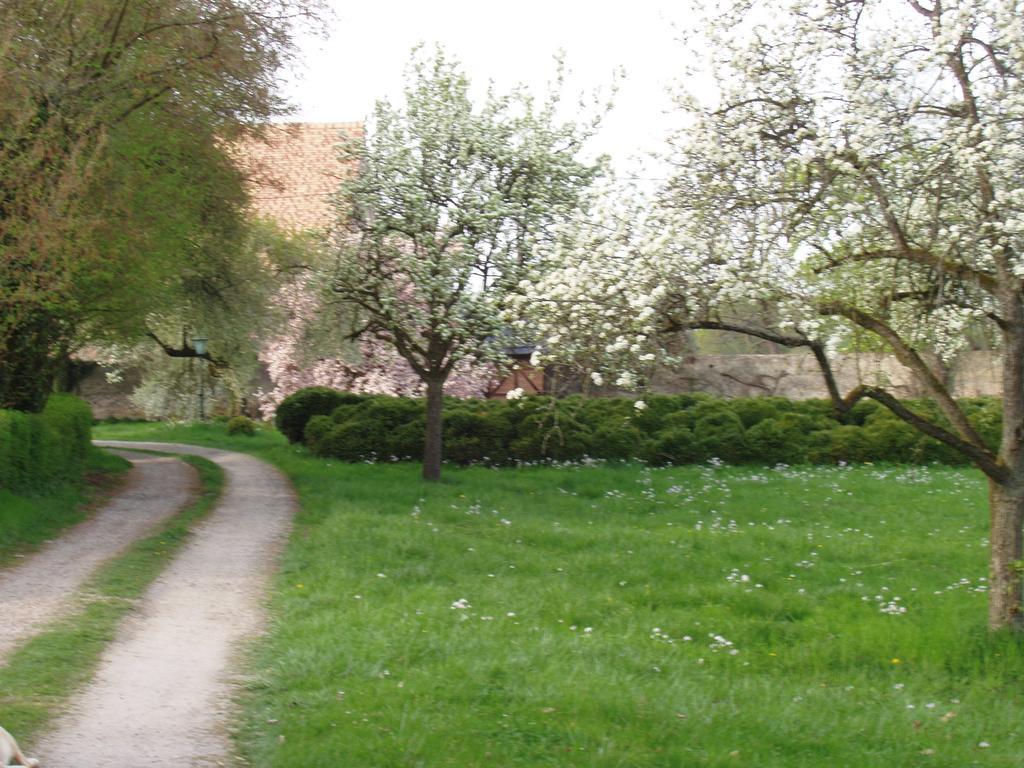 Chateau De Werde Matzenheim Exterior photo