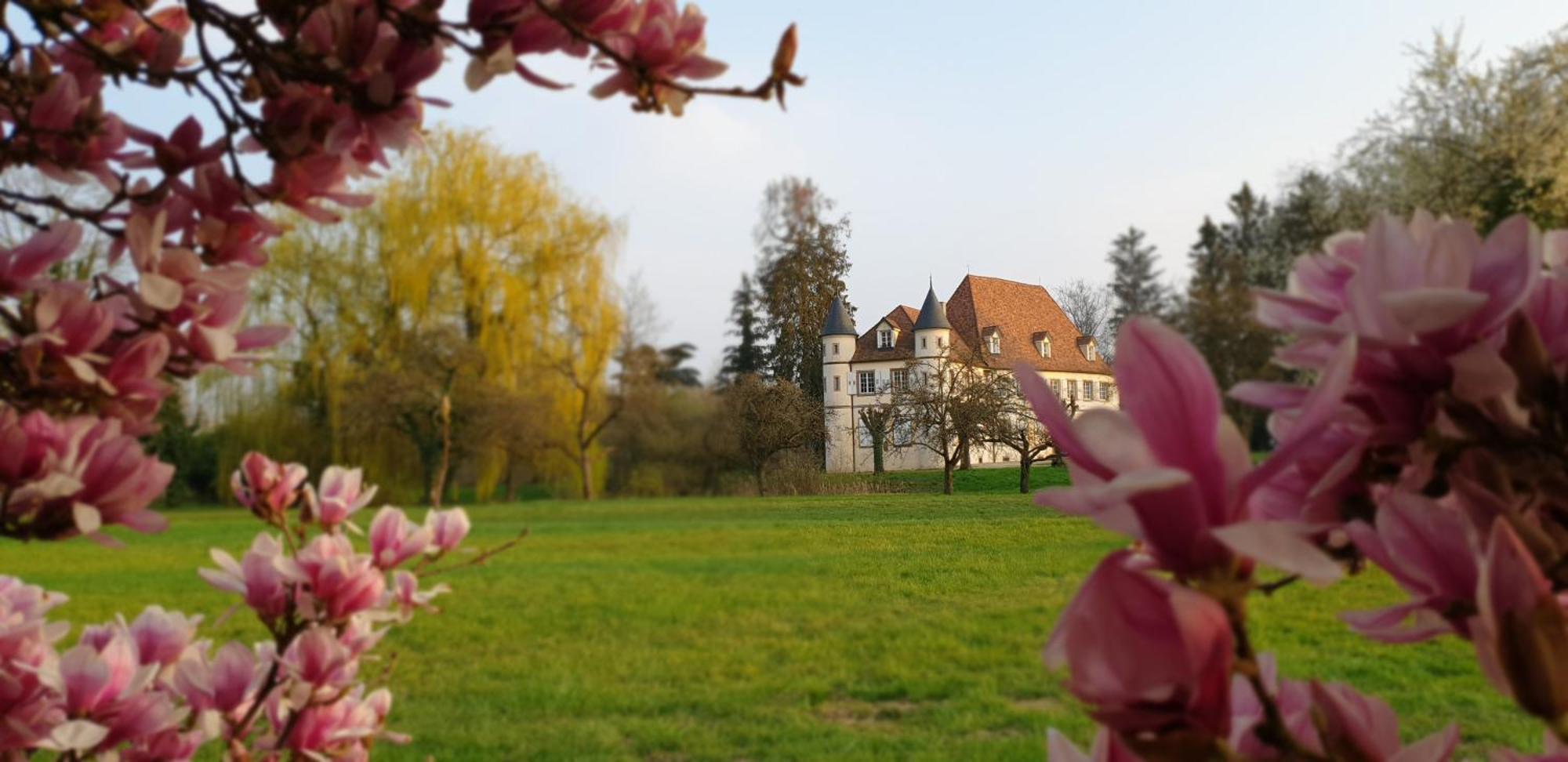 Chateau De Werde Matzenheim Exterior photo