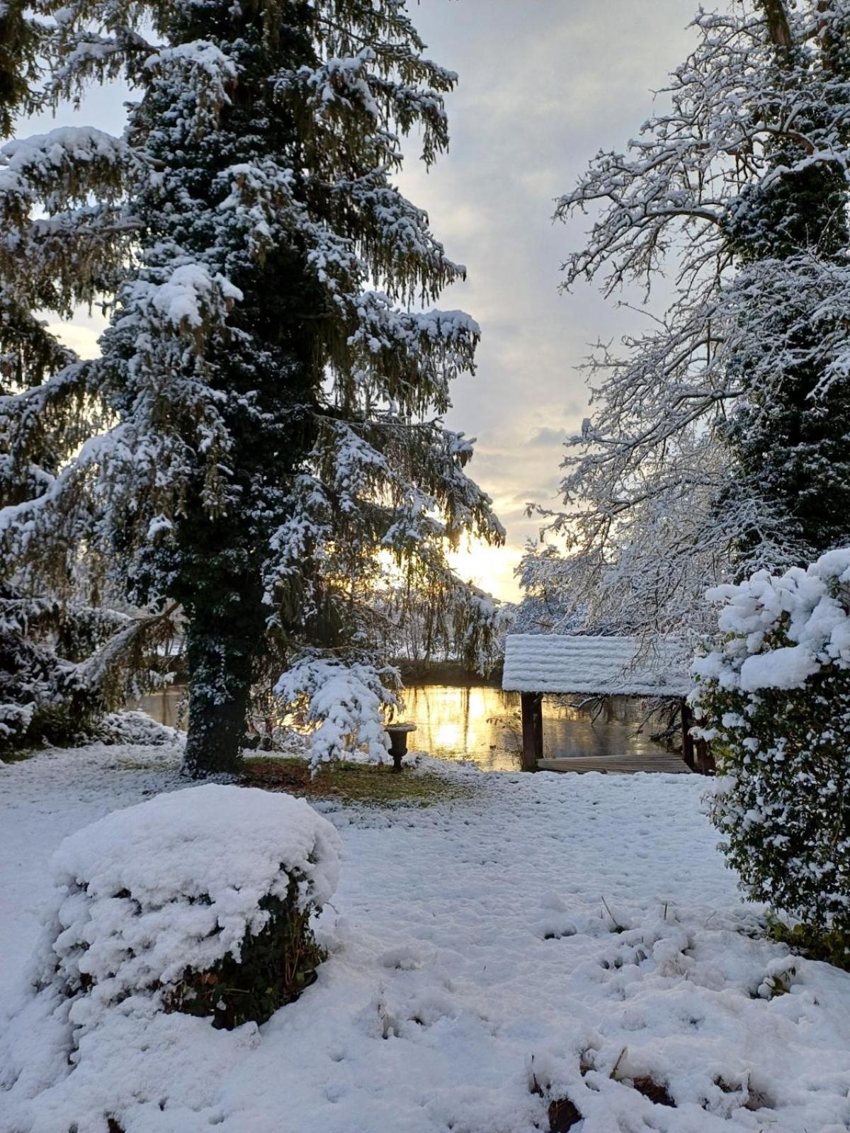 Chateau De Werde Matzenheim Exterior photo